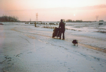 OVI-00000818 Een slede met hooi brengen naar de schapen in de sneeuw. T.Smits on de Vaart